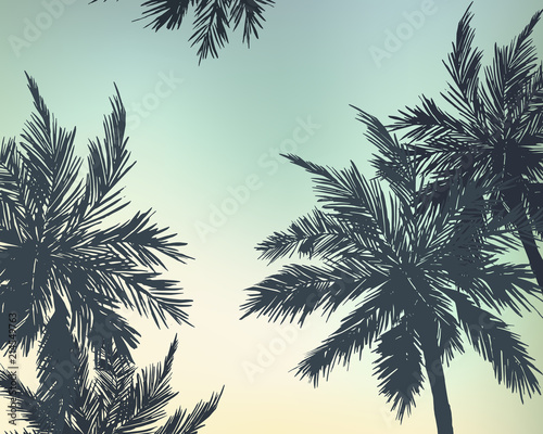 Palm trees summer background. Vector illustration © natikka
