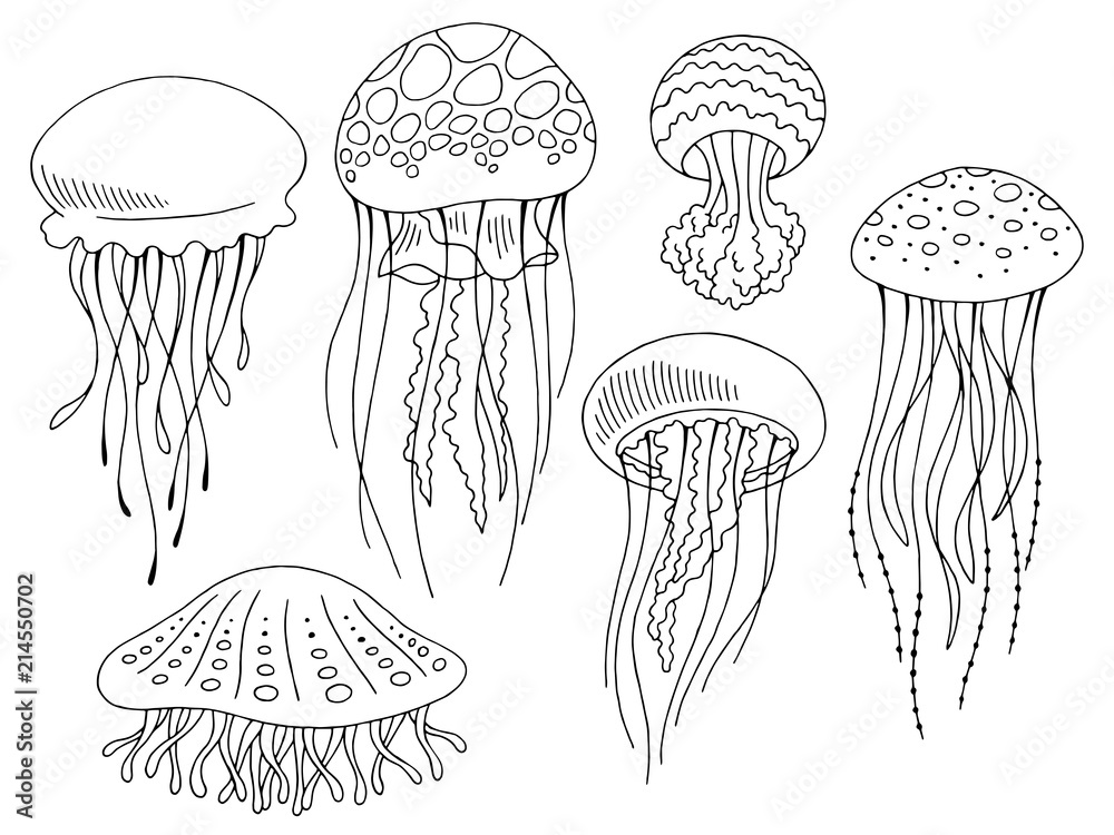 Fototapeta premium Graficzny meduza zestaw czarny biały na białym tle szkic wektor