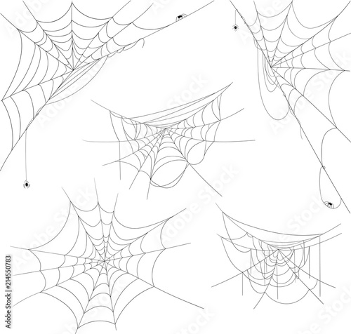 Fototapeta Black halloween spiderweb with spiders isolated on white.