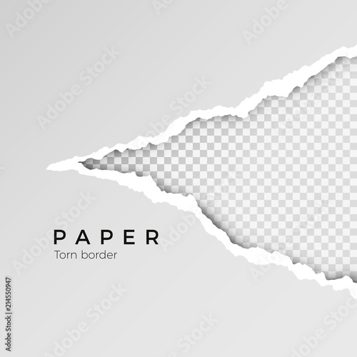 Gray ripped open paper with transparent background. Torn paper sheet. Paper texture. Vector illustration