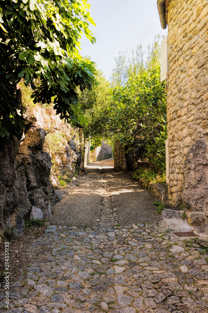 Long small cobblestone alley in the old medieval village of Labeaume in France