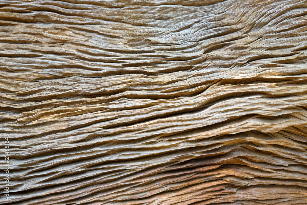 Colorful patterns and textures of wood. Colorful patterns and textures of wood.