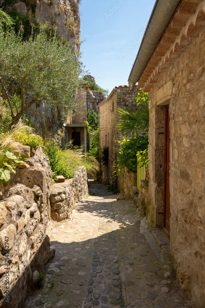 View into a beautiful romantic cobblestone alley guarded with a lot of greenery in the old French village Labeaume on the river Ardeche in France
