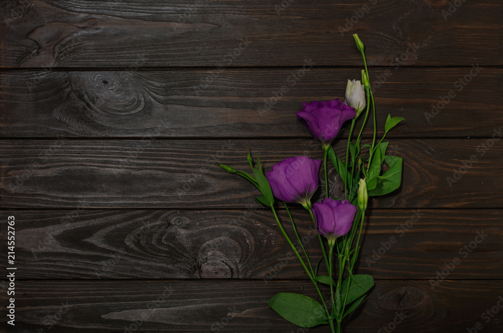 Violet flowers - eustoma, on a brown wooden background.