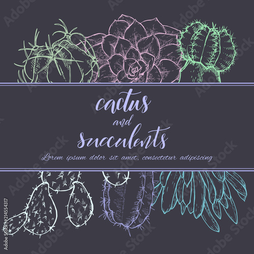 Sketch linear cactus ans succulents