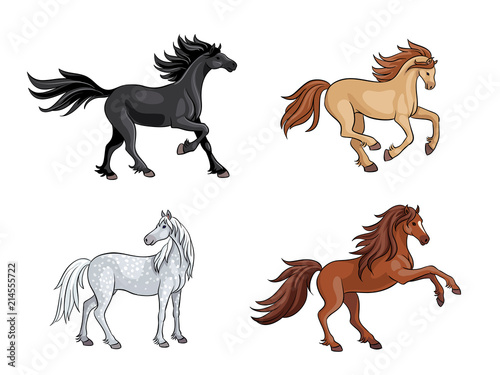 Horses - vector illustration
