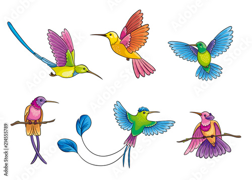 Different hummingbirds - vector illustration
