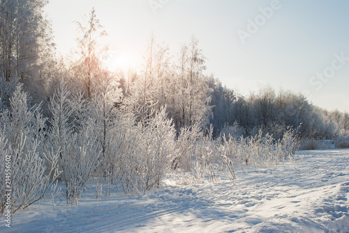 Winter snow at field © Igor Kovalchuk