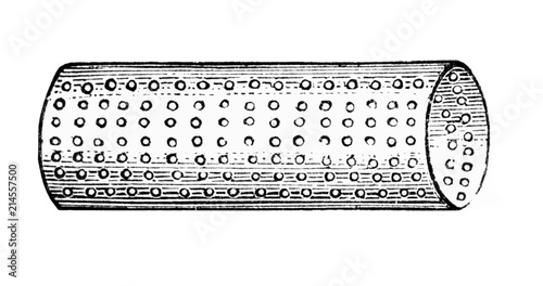 Spitzenwaschapparat.aus: Marie Adenfeller, Friedrich Werner: Illustriertes Koch- und Haushaltungsbuch, Friedrichshagen 1899/1900, S. 947, Fig. 1037. photo