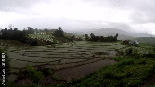 Rice field in countryside (Pa Pong Piang Rice Terraces) time lapse, Chiang Mai Province, Thaiiland photo