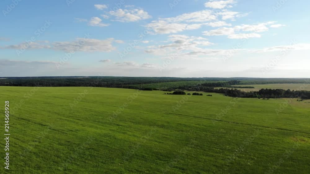 Flight over fields in the countryside in the summer. Aerial photography. 4K Flight over fields in the countryside in the summer. Aerial photography. 4K