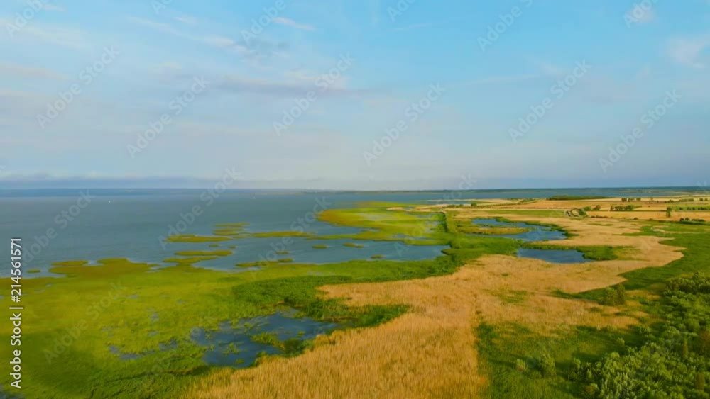 The shore of the Vistula Lagoon covered with rushes. The shore of the Vistula Lagoon covered with rushes.