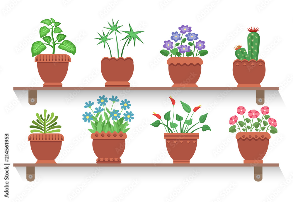 Room Plants Placed on Shelves Vector Illustration
