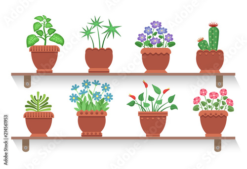 Room Plants Placed on Shelves Vector Illustration