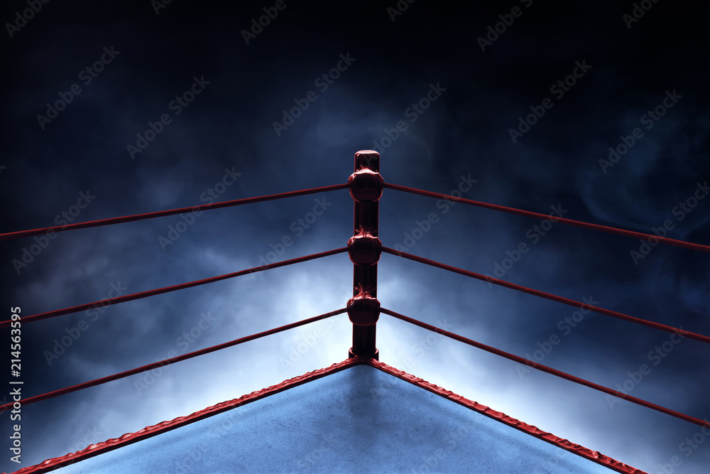 Professional boxing ring - obrazy, fototapety, plakaty 