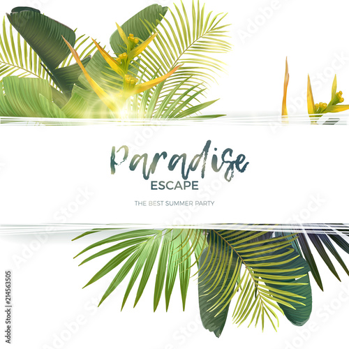 Green summer tropical background with exotic palm leaves and bird of paradise flowers. Vector floral background.