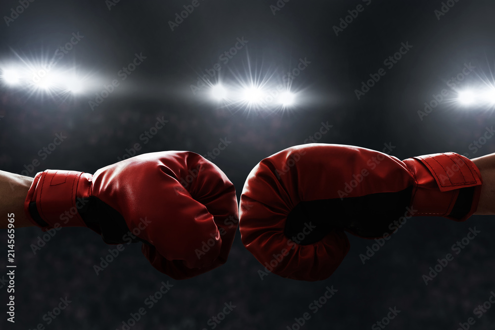 Two boxing gloves