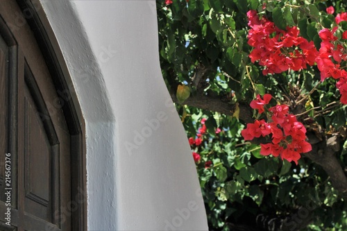 dans les ruelles du village de Stromboli, îles éoliennes photo