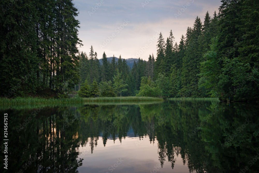 Vrbicke pleso tarn in green fir forest at sunrise, Slovakia. Low Tatras mountains Vrbicke pleso tarn in green fir forest at sunrise, Slovakia. Low Tatras mountains