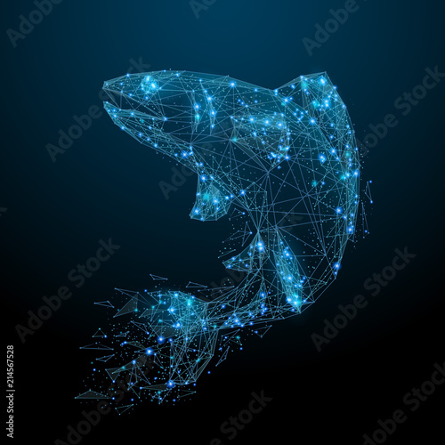 Abstract image of a fish in the form of a starry sky or space, consisting of points, lines, and shapes in the form of planets, stars and the universe. Salmon vector wireframe