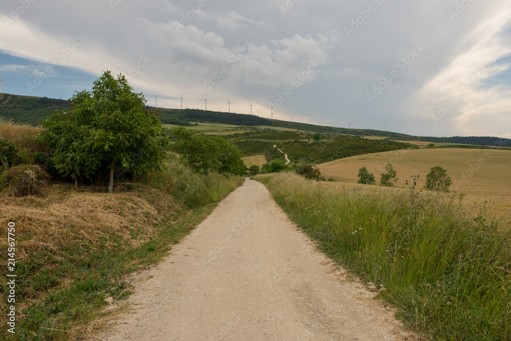 Camino Santiago at the height of forgiveness Camino Santiago at the height of forgiveness