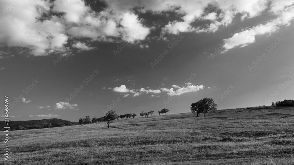 Fototapeta premium Clouds
