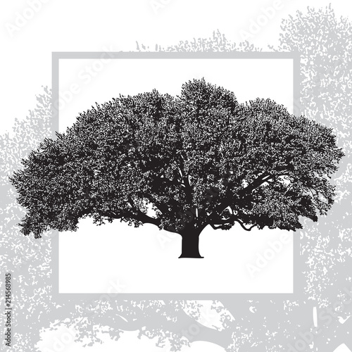 Realistic natural leafy tree isolated on white background. Abstract vector monochrome graphics illustration of foliage branches with leaves.