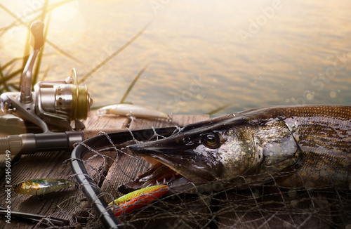 Happy Fishing background; Fishing tackle and trophy Pike photo