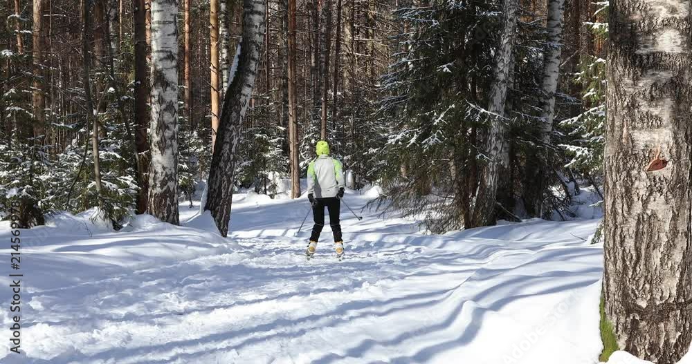 Young woman skiing in the winter forest. Bright sunny frosty day Young woman skiing in the winter forest. Bright sunny frosty day