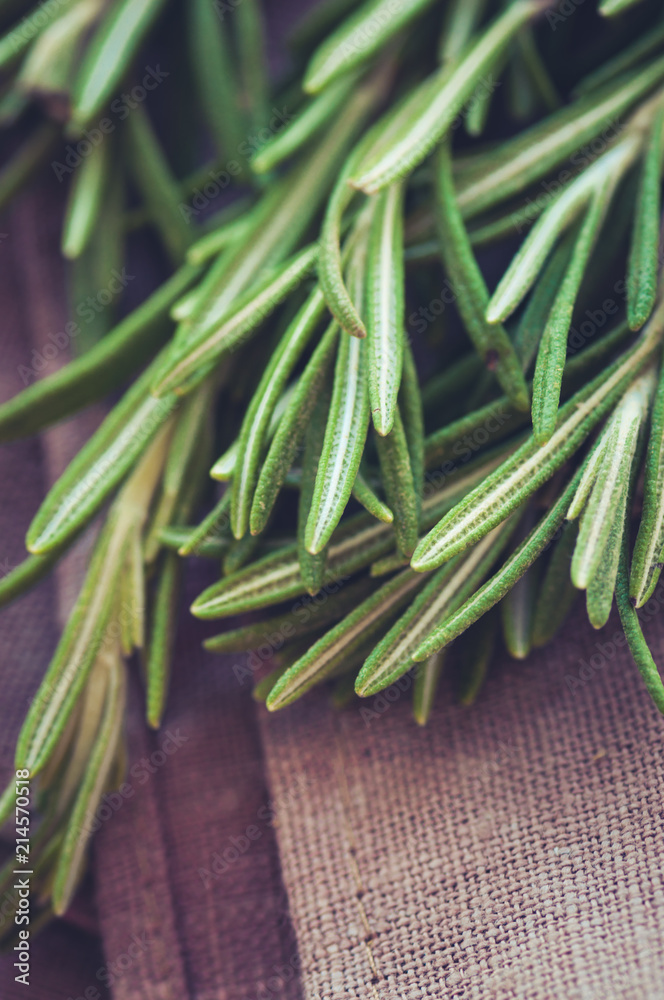 Bunch of fresh rosemary. Rustic style. Toned. Bunch of fresh rosemary. Rustic style. Toned.