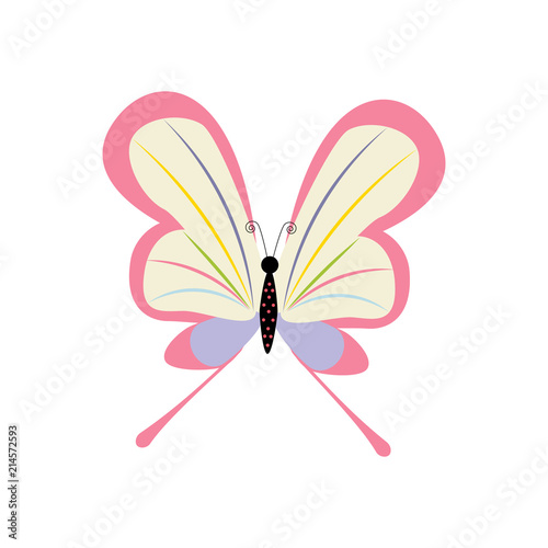 Butterfly insect illustration
