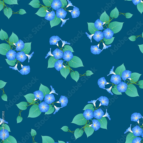 Blue Morning Glory on Green...
