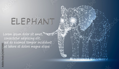 Polygonal lines abstract vector sample illustration with space elephant on the color night background