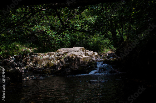 Flowing silhouette stream