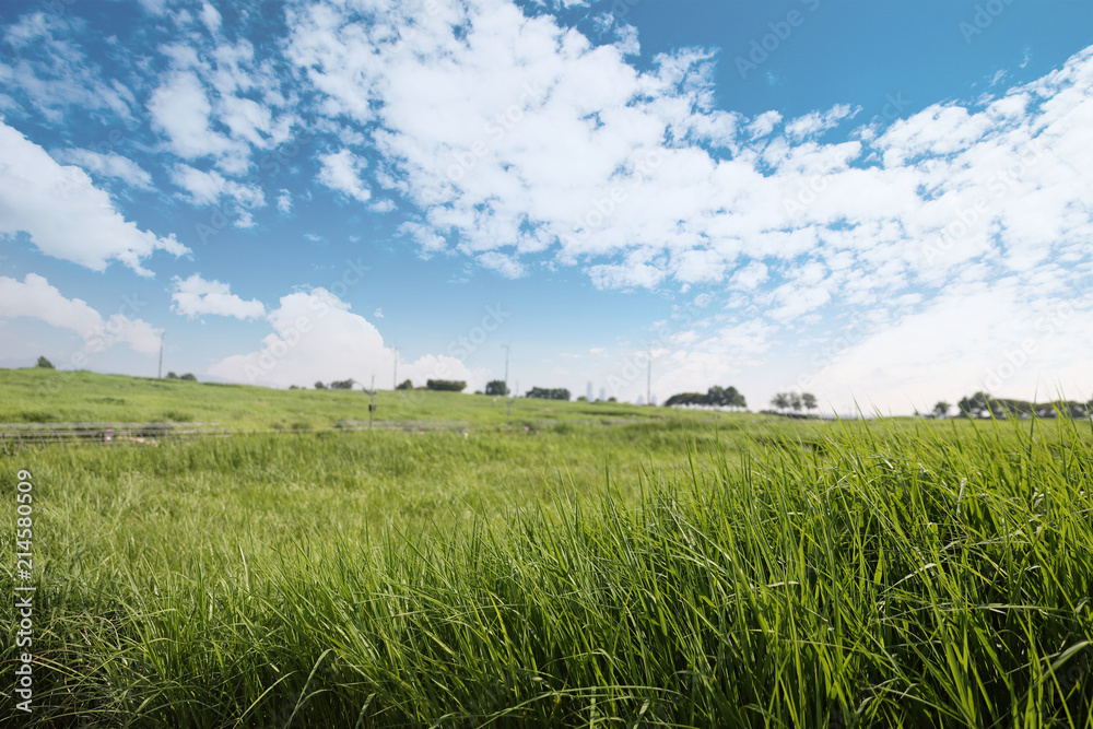 An image of nature consisting of cloudy sky and fields An image of nature consisting of cloudy sky and fields