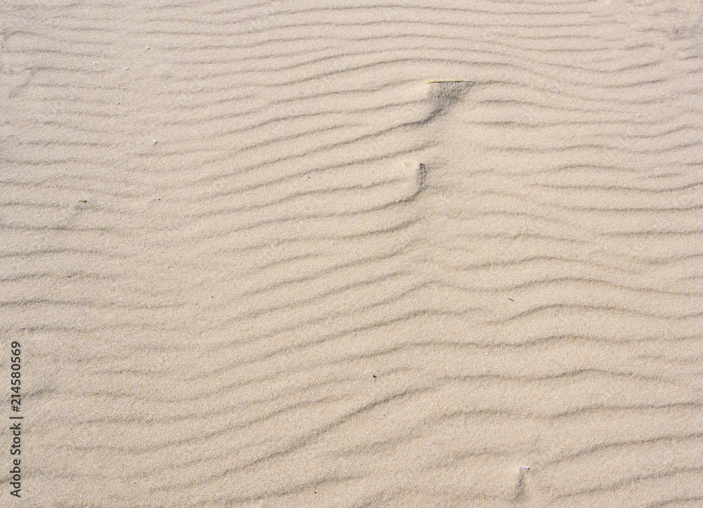 Texture of sand in a wave mode Texture of sand in a wave mode