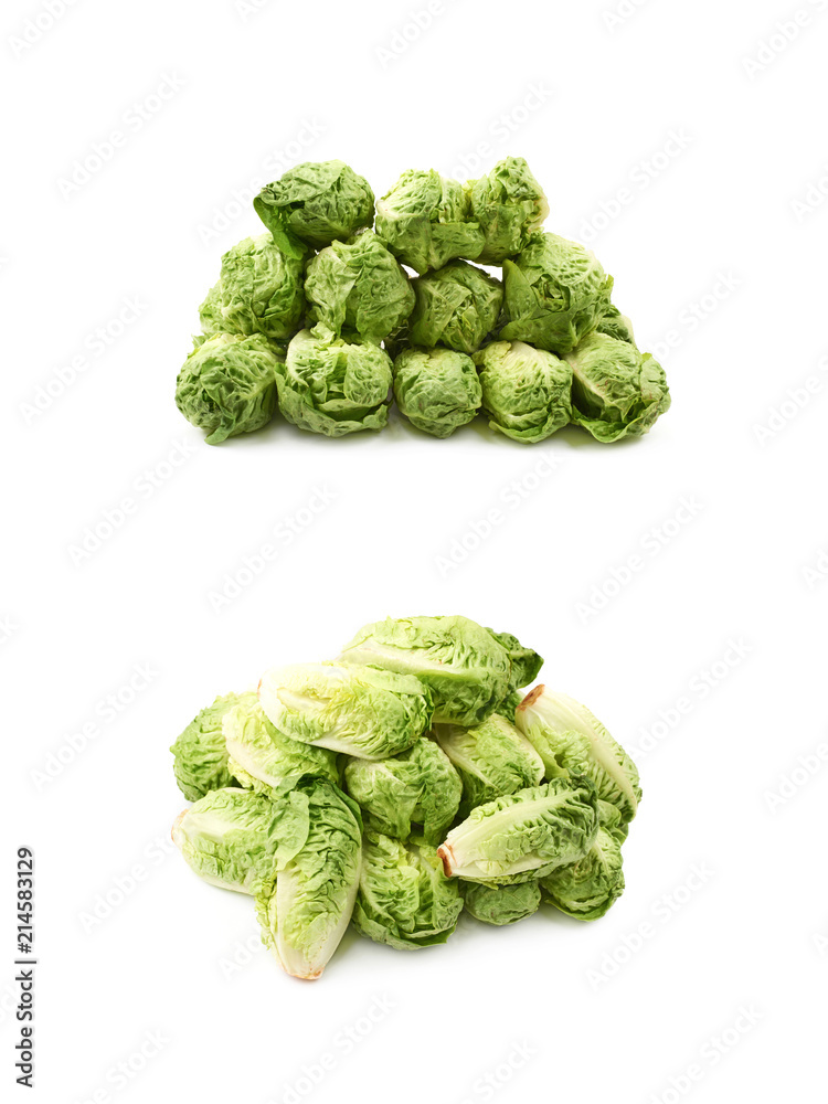 Fototapeta premium Little gem salat isolated