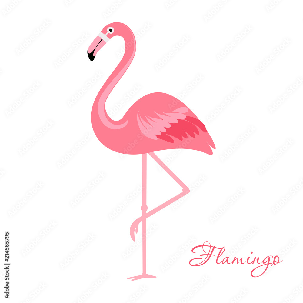 Cartoon flamingo bird. vector illustration