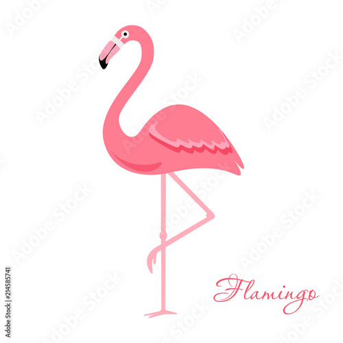 Cartoon flamingo bird. vector illustration