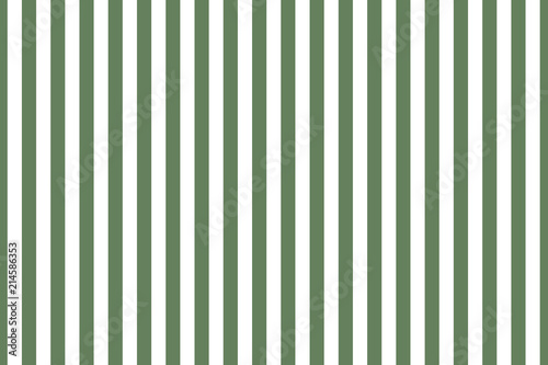 Stripe pattern green and white. Design for wallpaper  fabric  textile. Simple background