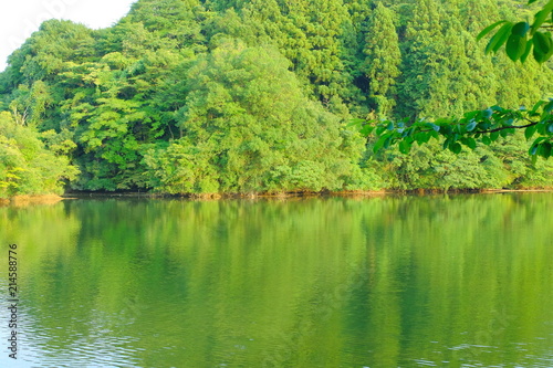 千葉　亀山湖　夏
