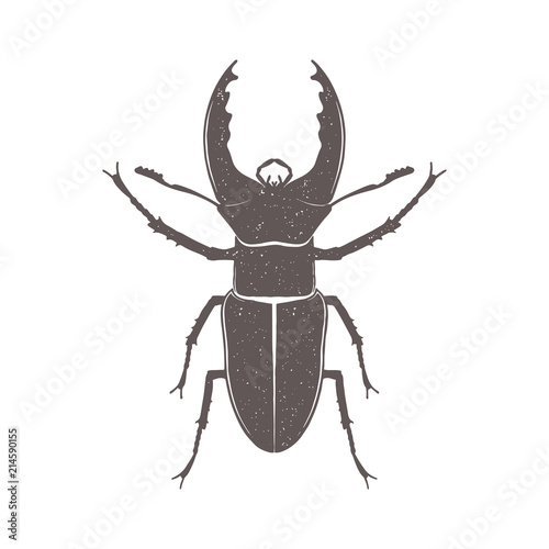 Vintage brown deer beetle emblem. Grunge badge, typogrphic symbol suitable for T-shirts or print. Isolated vector illustration