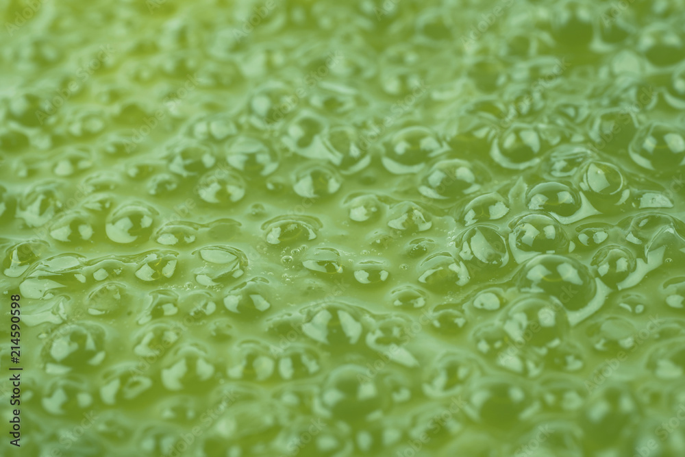 Surface coated with the green caviar