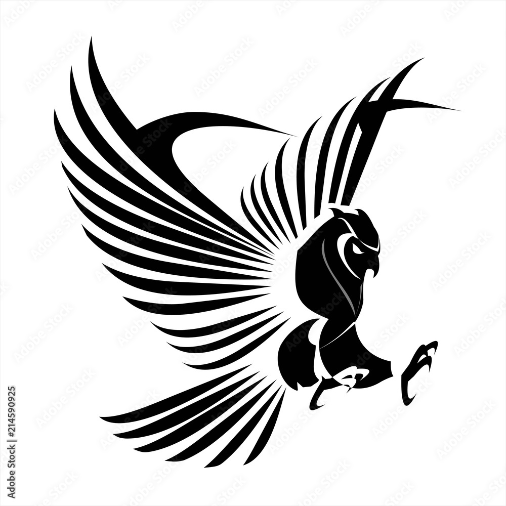Obraz premium Flying Owl, rozłóż pióro. Wielka sowa na białym tle.