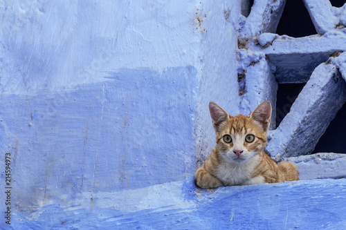 Chaouen the blue city of Morocco.Chefchaouen photo