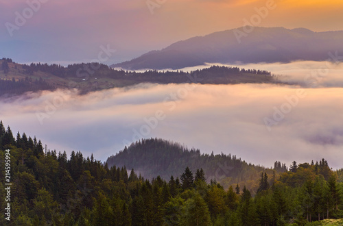 Landscape with fog in mountains and rows of trees