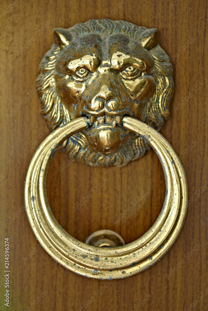 Lion head and ring knockdoor