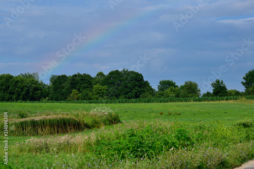 Rainbow Over The Field