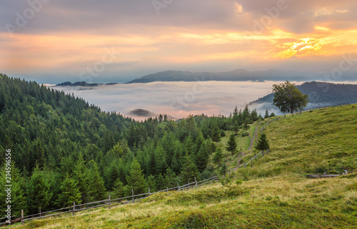 Beautiful summer landscape in the mountains.