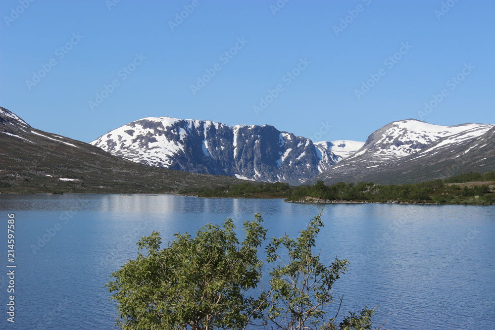Lake and mountains with trees in foreground near Geiranger, Norway